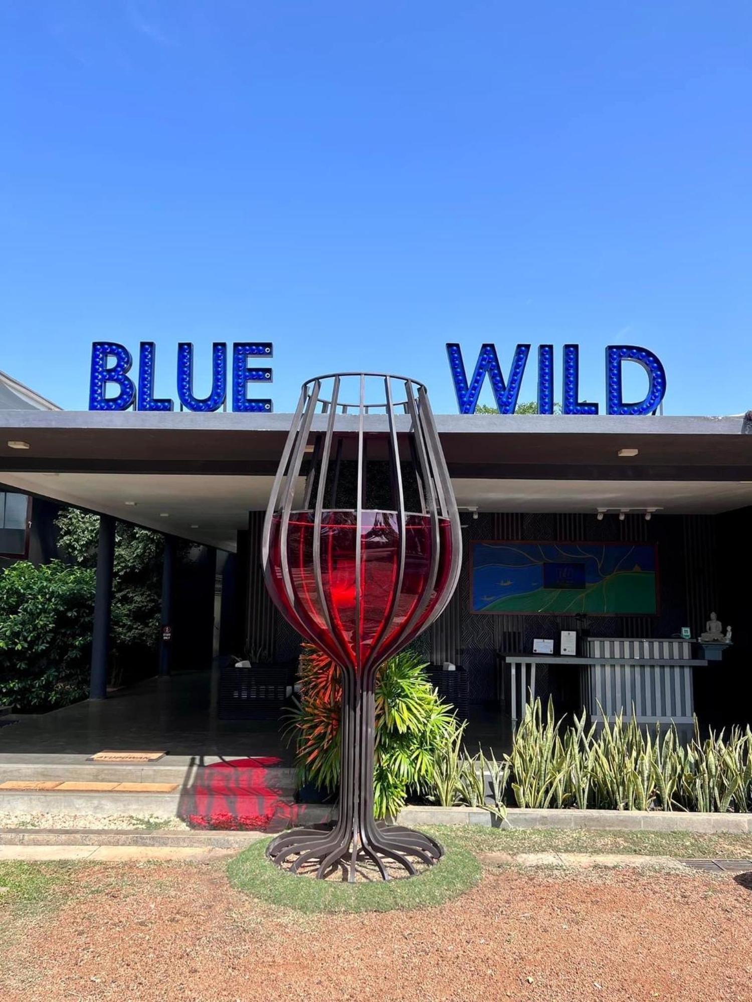 Blue Wild - Yala - Plastic Free & Sustainable Тиссамахарама Экстерьер фото